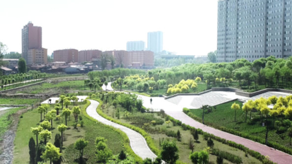 1721985902756951.png image.png